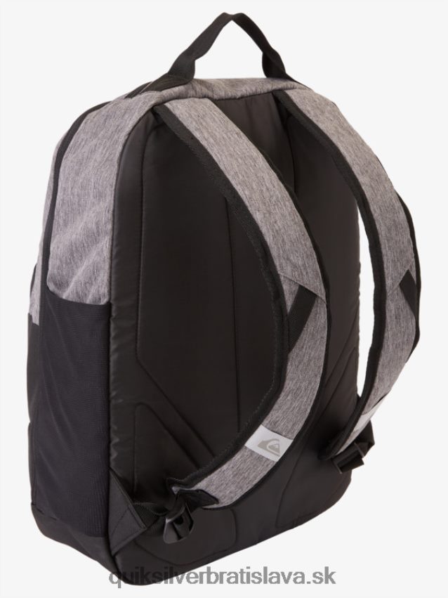 školský chladiaci box 30l batoh Quiksilver muži B80HXR372 dedičný vres