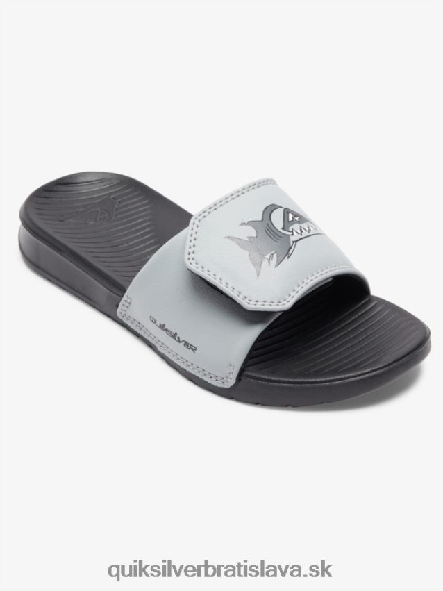 8-16 jazdcov nastavenia jasu pobrežia Quiksilver chlapci B80HXR2186 šedá 1