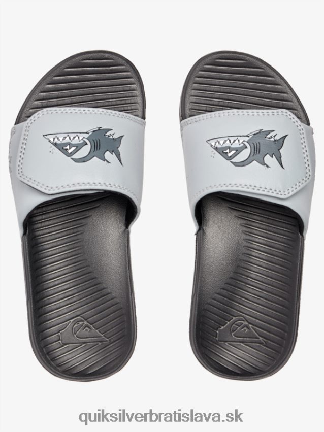 8-16 jazdcov nastavenia jasu pobrežia Quiksilver chlapci B80HXR2186 šedá 1