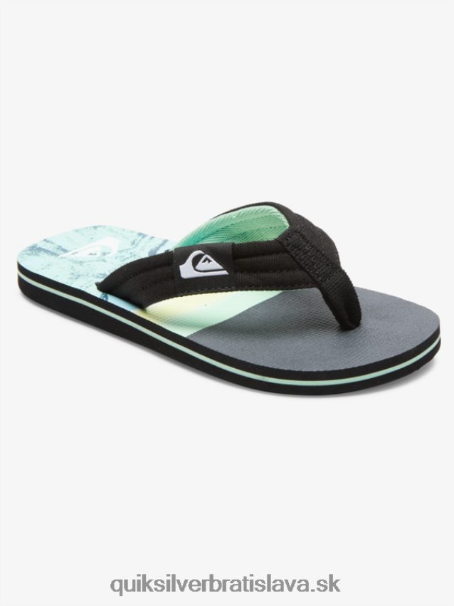 Základné sandále molokai pre mládež 8-16 Quiksilver chlapci B80HXR2249 zelená 1