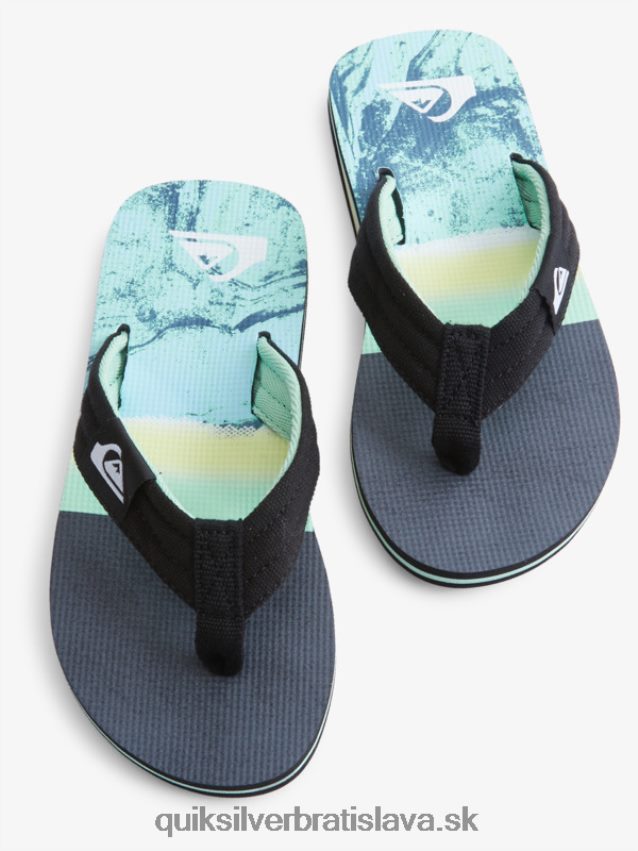 Základné sandále molokai pre mládež 8-16 Quiksilver chlapci B80HXR2249 zelená 1