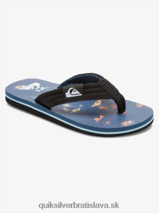 Základné sandále molokai pre mládež 8-16 Quiksilver chlapci B80HXR2251 modrá 4