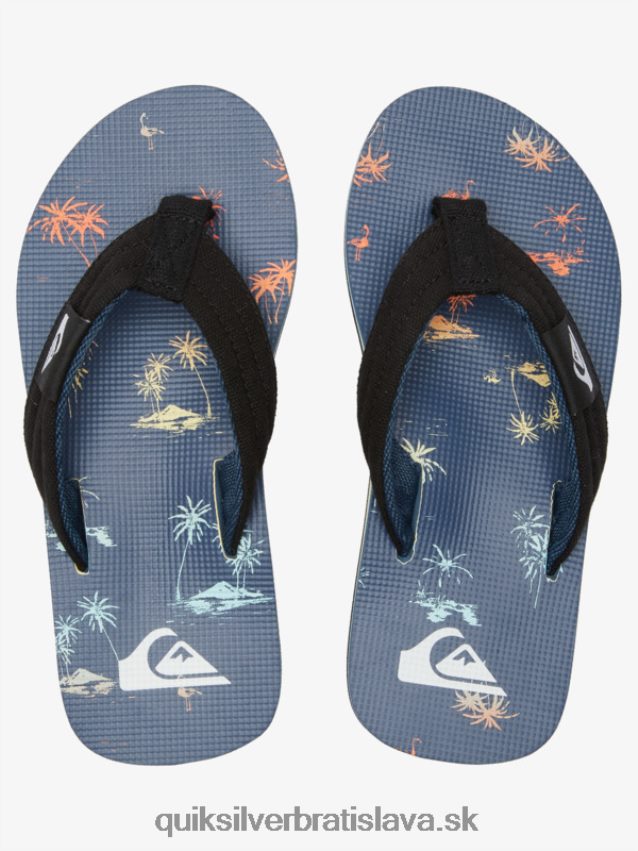 Základné sandále molokai pre mládež 8-16 Quiksilver chlapci B80HXR2251 modrá 4