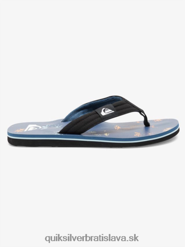 Základné sandále molokai pre mládež 8-16 Quiksilver chlapci B80HXR2251 modrá 4