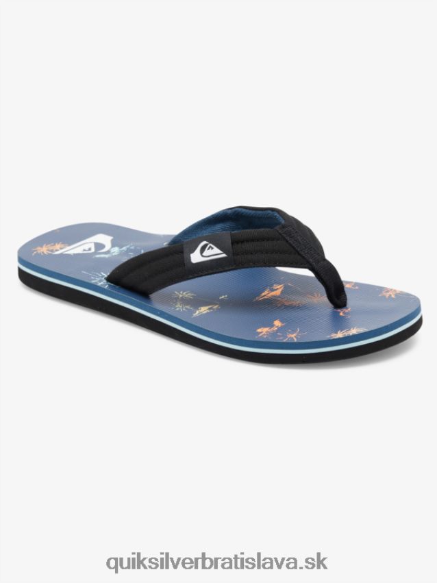Základné sandále molokai pre mládež 8-16 Quiksilver chlapci B80HXR2251 modrá 4