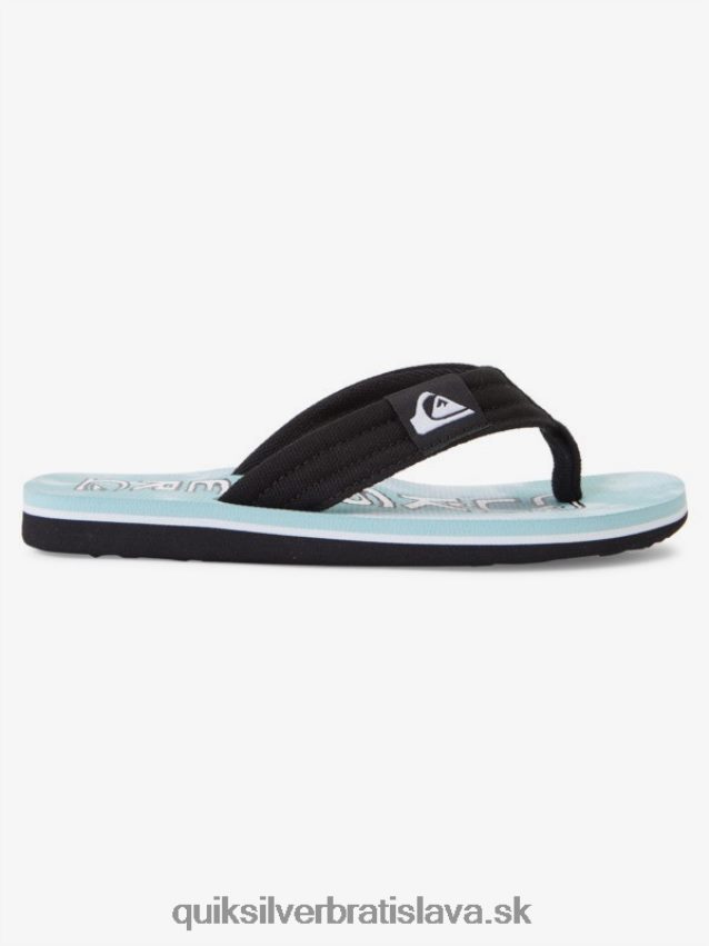 Základné sandále molokai pre mládež 8-16 Quiksilver chlapci B80HXR2253 modrá 1