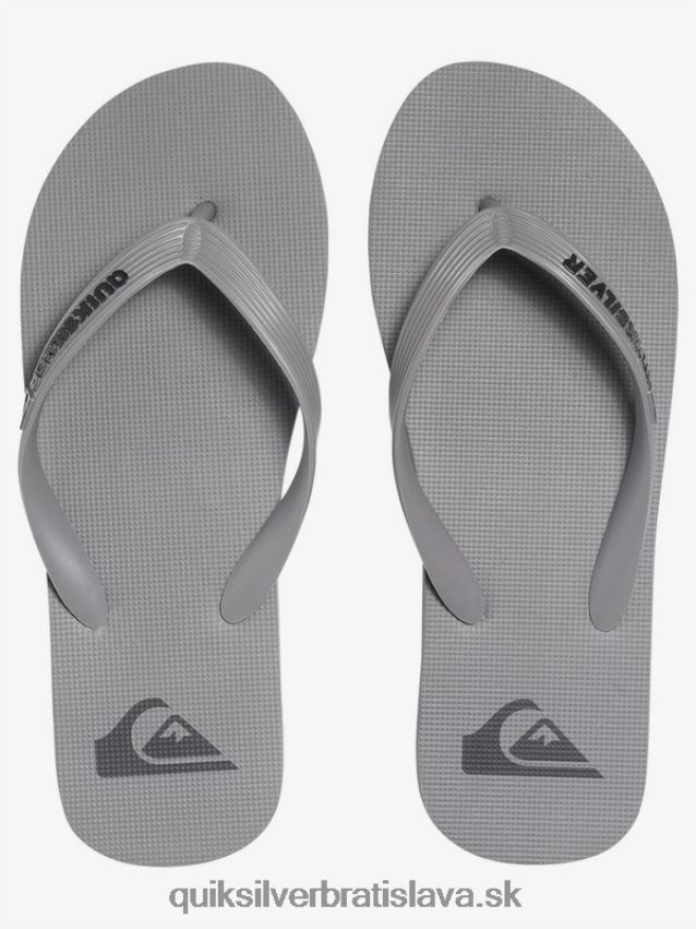 žabky molokai Quiksilver muži B80HXR1590 sivá