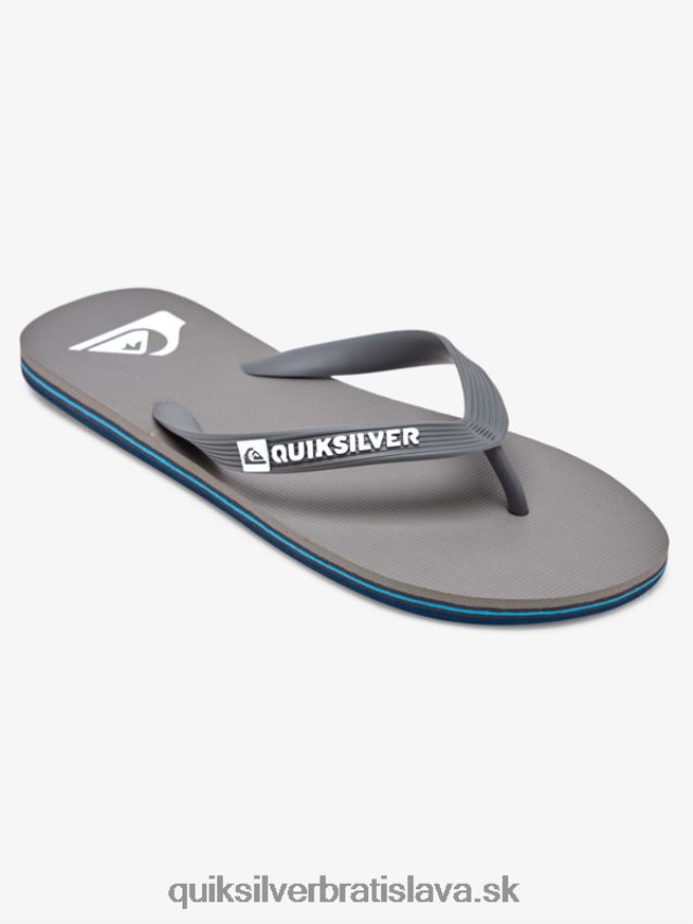 žabky molokai Quiksilver muži B80HXR1592 šedá 3