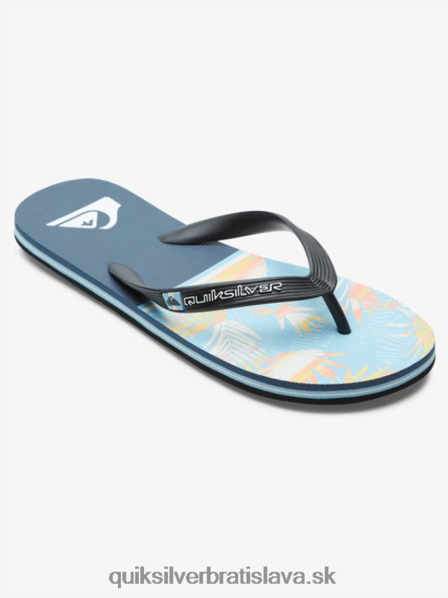 žabky molokai divízie Quiksilver muži B80HXR1638 modrá 1