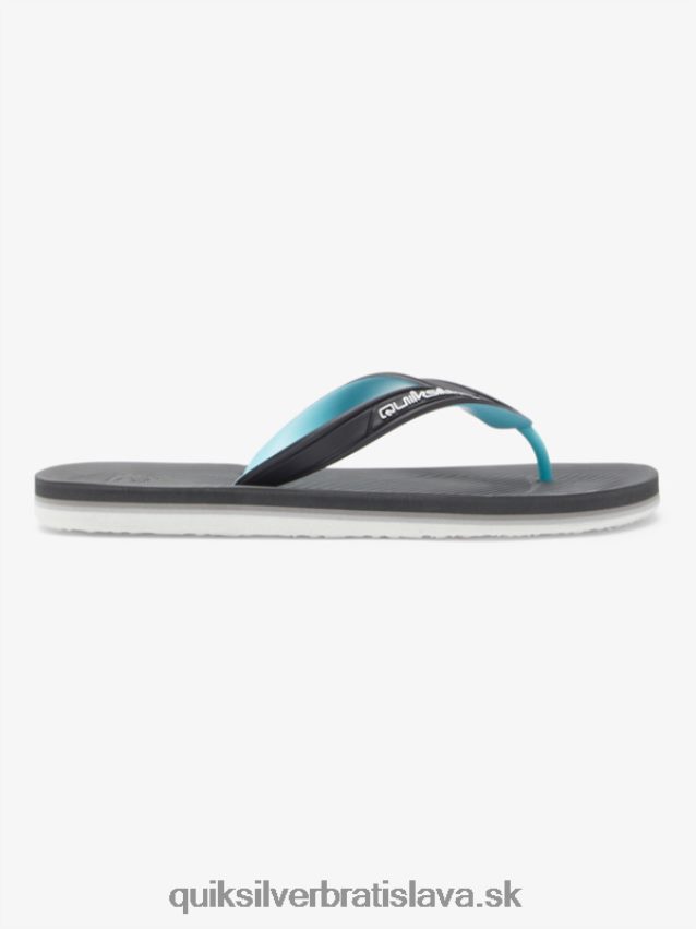žabky s jadrom haleiwa Quiksilver muži B80HXR952 šedá 2