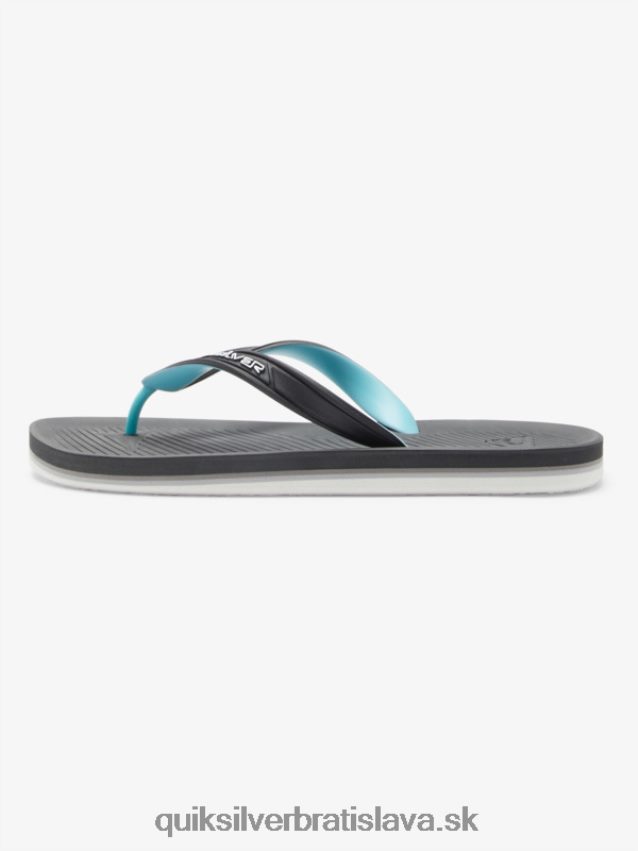 žabky s jadrom haleiwa Quiksilver muži B80HXR952 šedá 2