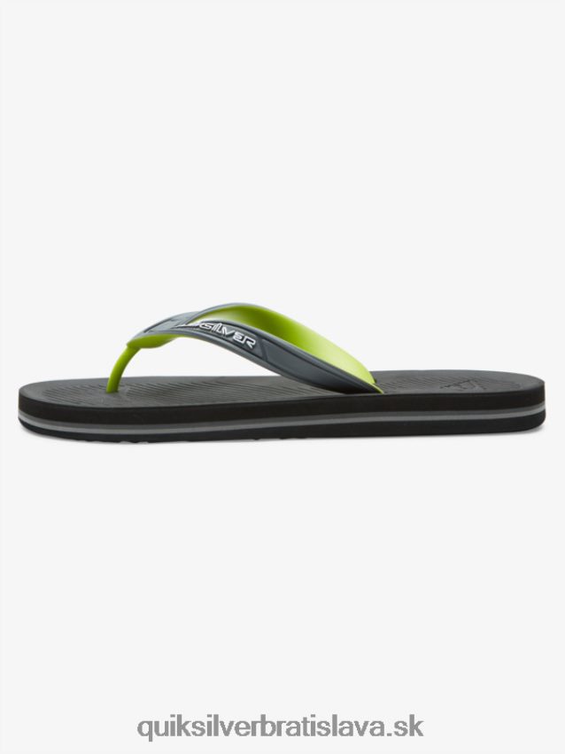 žabky s jadrom haleiwa Quiksilver muži B80HXR953 šedá 1
