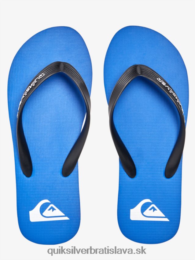 žabky s jadrom molokai Quiksilver muži B80HXR593 modrá 1