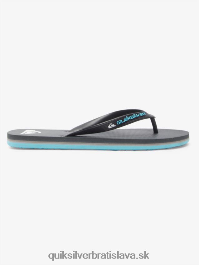 žabky s jadrom molokai Quiksilver muži B80HXR594 šedá 4