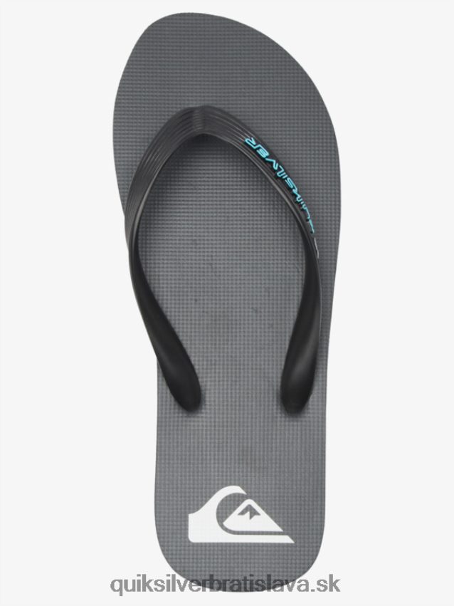 žabky s jadrom molokai Quiksilver muži B80HXR594 šedá 4