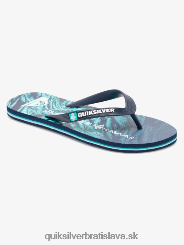 domáce šľapky molokai Quiksilver muži B80HXR1861 zelená 1