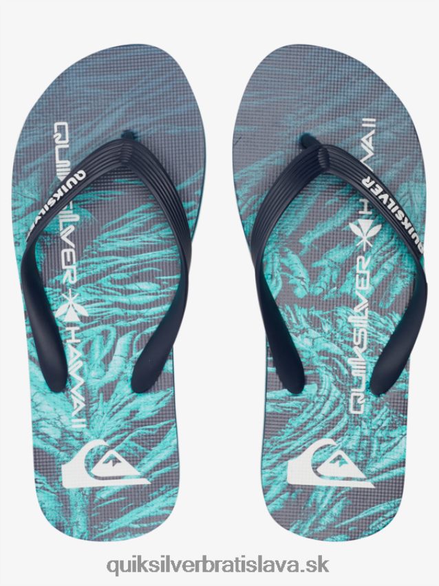 domáce šľapky molokai Quiksilver muži B80HXR1861 zelená 1