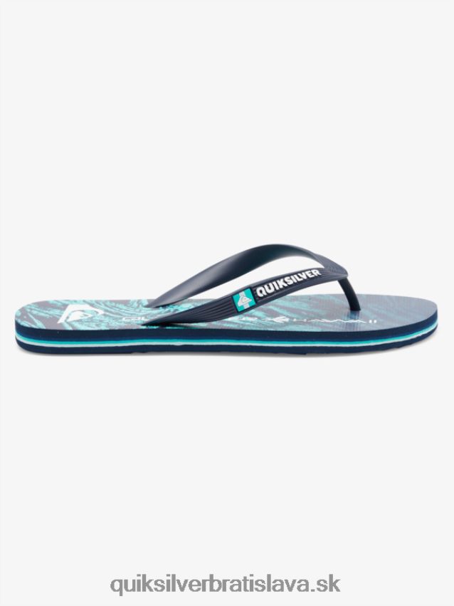 domáce šľapky molokai Quiksilver muži B80HXR1861 zelená 1