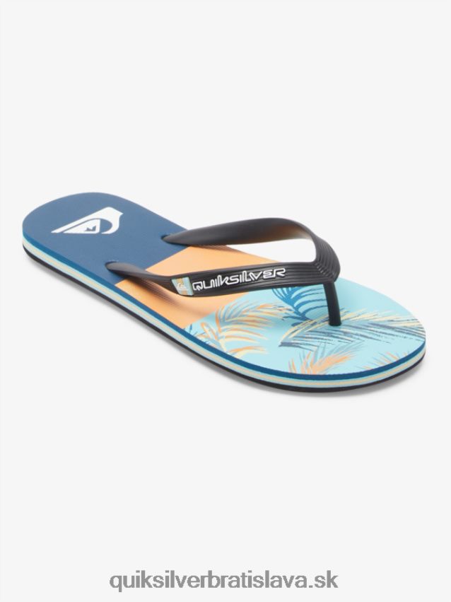 panelové žabky molokai Quiksilver muži B80HXR569 modrá/čierna/žltá