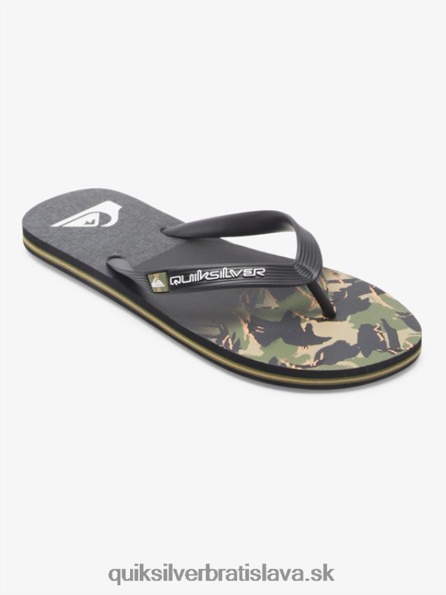 panelové žabky molokai Quiksilver muži B80HXR570 zelená 1