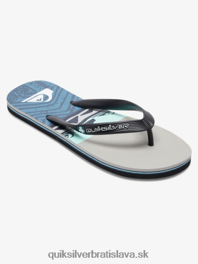 panelové žabky molokai Quiksilver muži B80HXR572 šedá/čierna/modrá