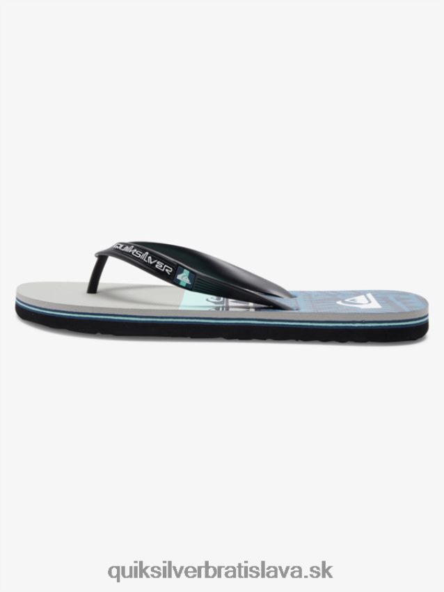 panelové žabky molokai Quiksilver muži B80HXR572 šedá/čierna/modrá