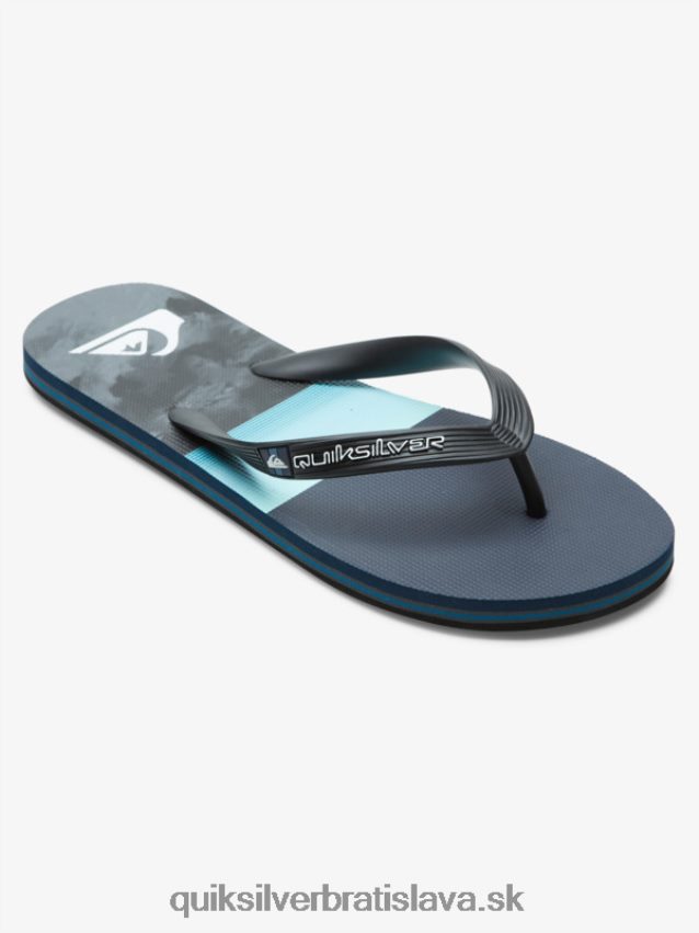 panelové žabky molokai Quiksilver muži B80HXR573 modrá/sivá
