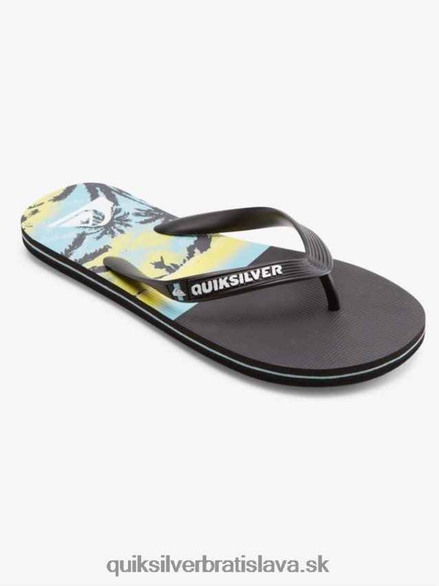 panelové žabky molokai Quiksilver muži B80HXR574 čierna