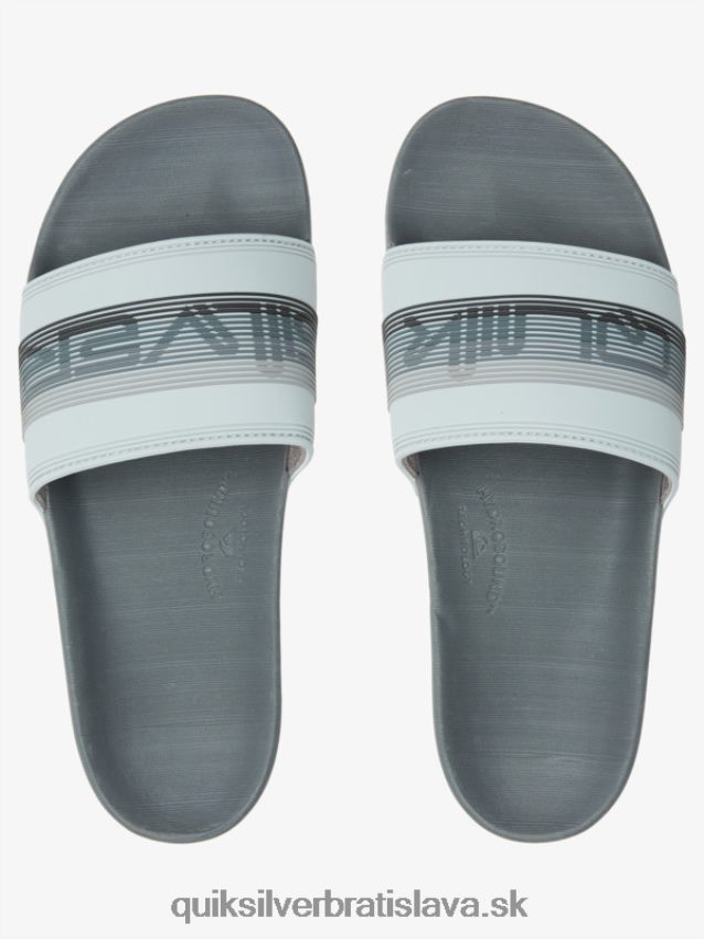 rivi wordmark slide slider sandále Quiksilver muži B80HXR687 šedá 1