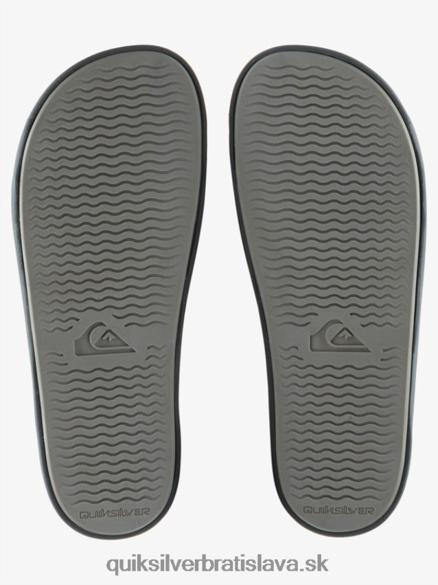 rivi wordmark slide slider sandále Quiksilver muži B80HXR687 šedá 1