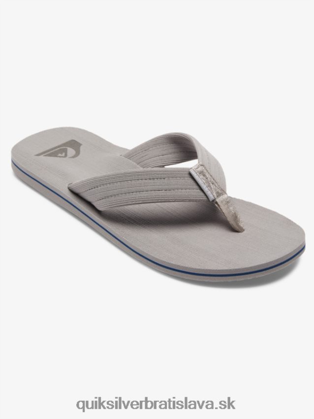 sandále molokai Layback Quiksilver muži B80HXR1250 šedá/biela