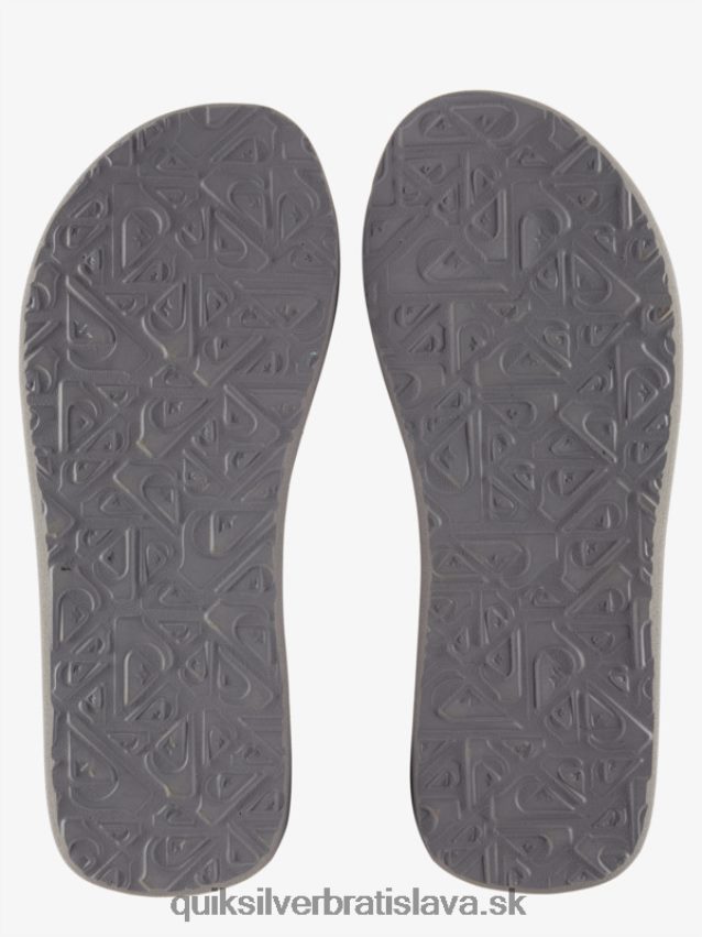 sandále molokai Layback Quiksilver muži B80HXR1250 šedá/biela