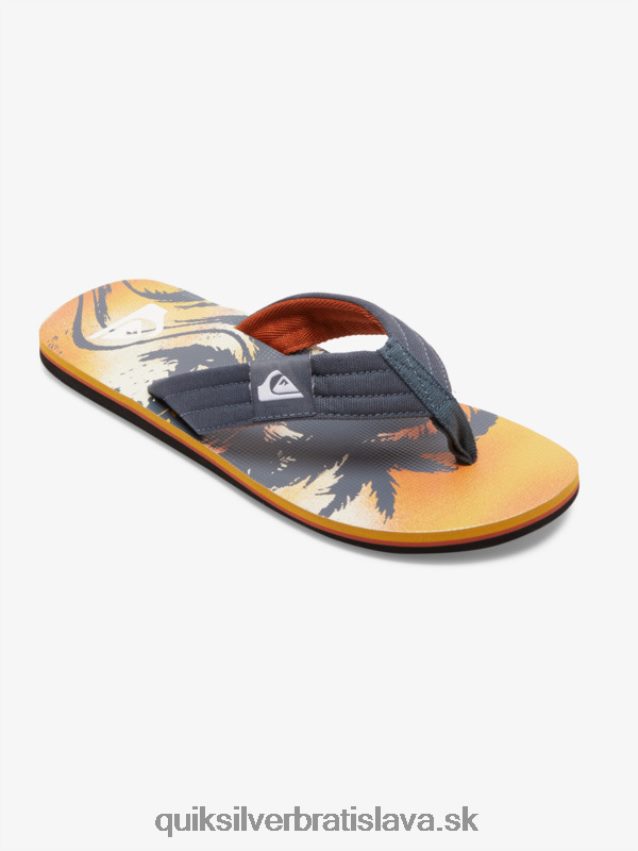 sandále molokai Layback Quiksilver muži B80HXR493 šedá 1
