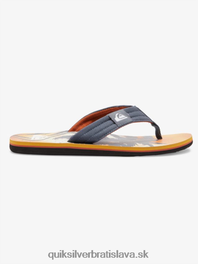 sandále molokai Layback Quiksilver muži B80HXR493 šedá 1