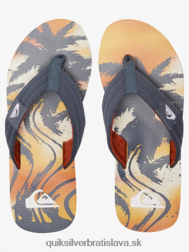sandále molokai Layback Quiksilver muži B80HXR493 šedá 1