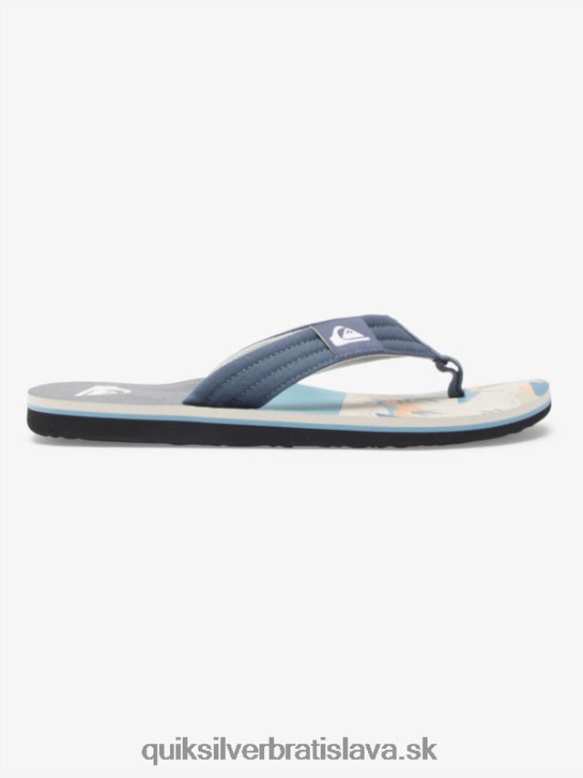sandále molokai Layback Quiksilver muži B80HXR494 šedá/biela