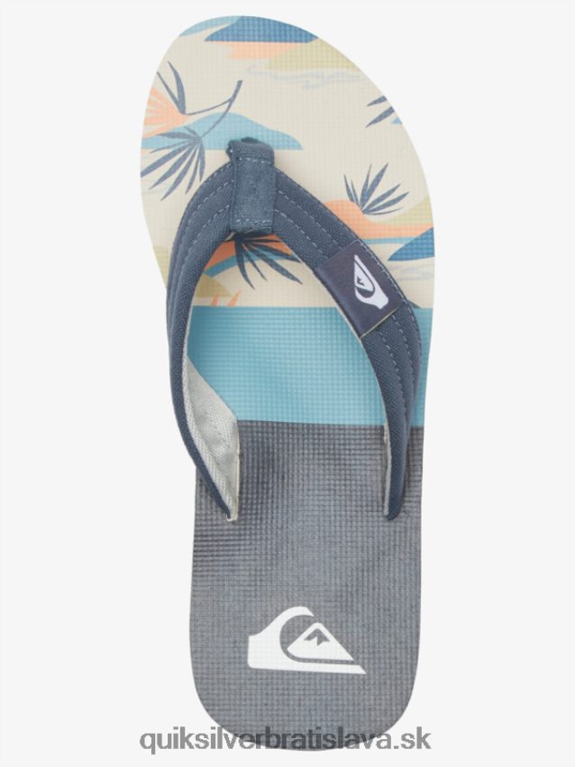sandále molokai Layback Quiksilver muži B80HXR494 šedá/biela