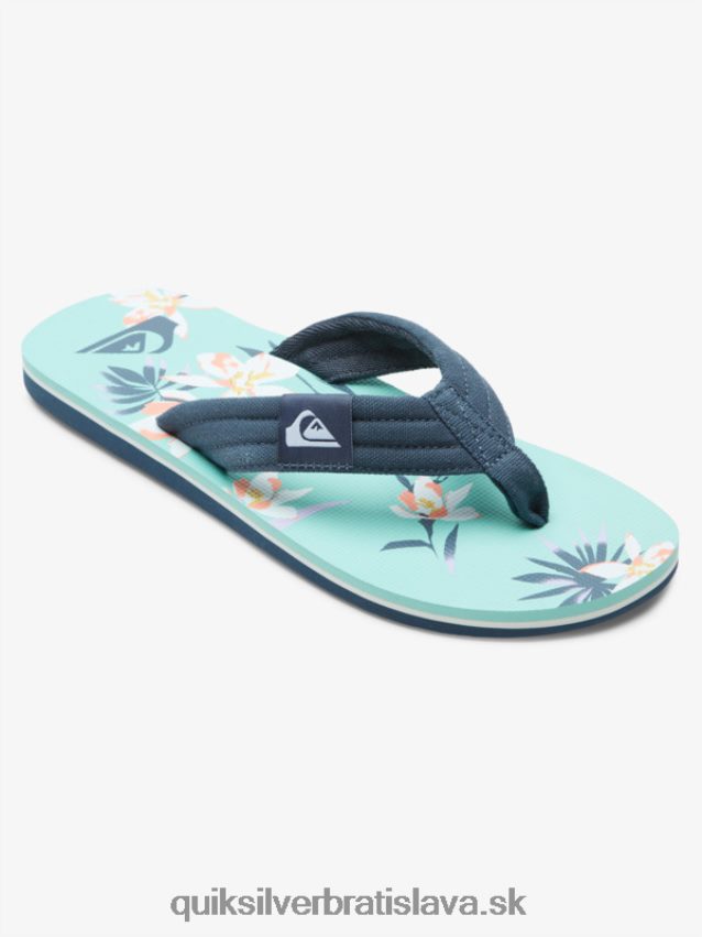 sandále molokai Layback Quiksilver muži B80HXR505 modro zelená