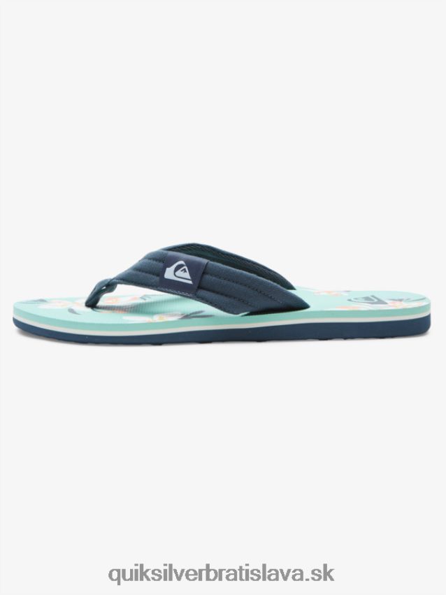sandále molokai Layback Quiksilver muži B80HXR505 modro zelená