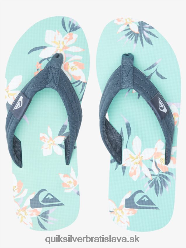 sandále molokai Layback Quiksilver muži B80HXR505 modro zelená