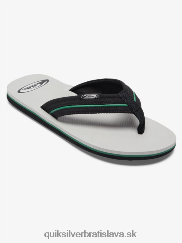 saturnové sandále molokai layback Quiksilver muži B80HXR1294 šedá 1